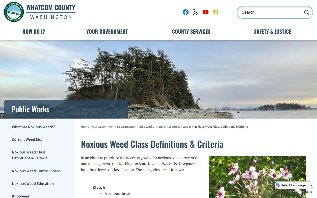 Whatcom County Superior Court Clerk divorce records portal